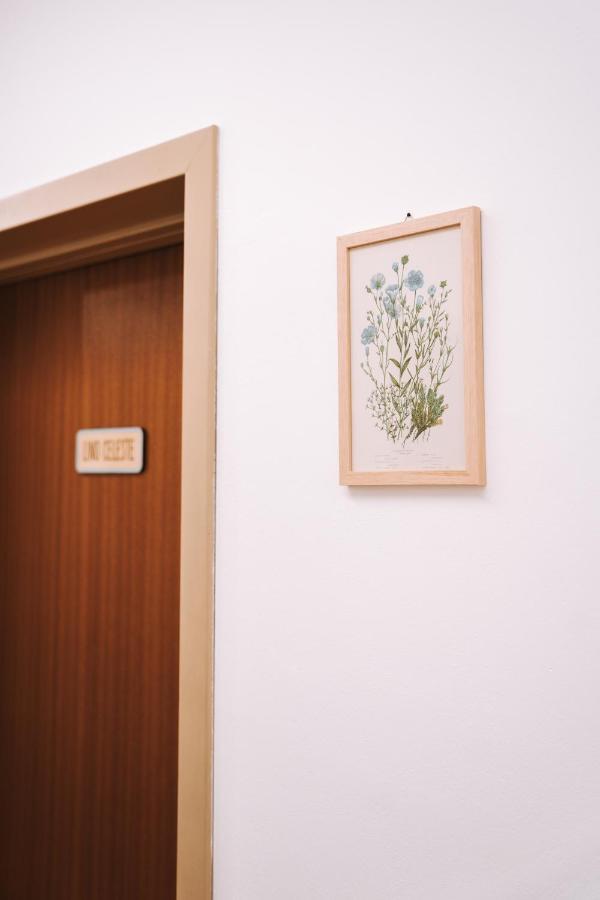 Casa Camilla Bed and Breakfast San Michele allʼAdige Εξωτερικό φωτογραφία
